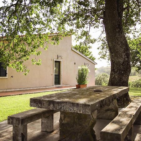 Country House Poggio Aione Pensionat Catabbio Eksteriør billede